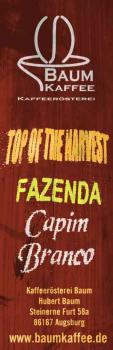 Baum Kaffee Brasilien Capim Branco Sp&auml;tlese