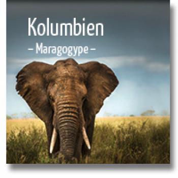delMocca Kaffeer&ouml;sterei KOLUMBIEN Maragogype - Elefantenbohnen