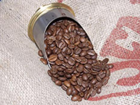 Kaffeefee Sachsen Landhofmischung – Der Frühstückskaffee