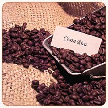 R&ouml;sterei Kaffeekultur Costa Rica Tarraz&uacute; Dota